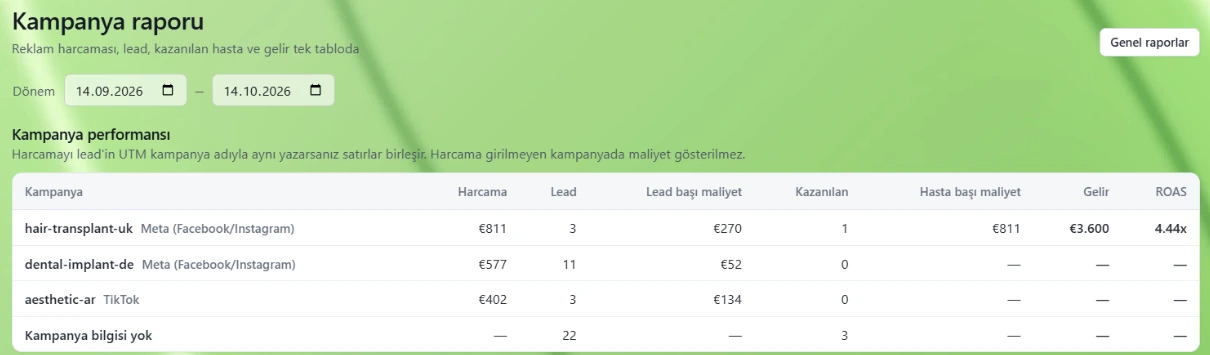 Campaign report: spend, leads, revenue and ROAS